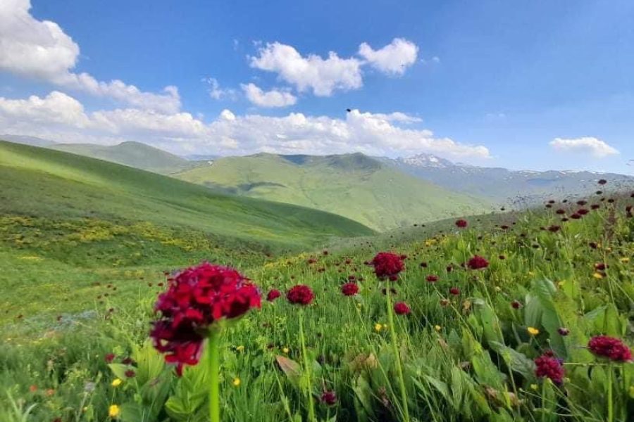 Exploring Scardus Trail: A Must-Visit Destination for Nature Lovers in Kukës, Albania